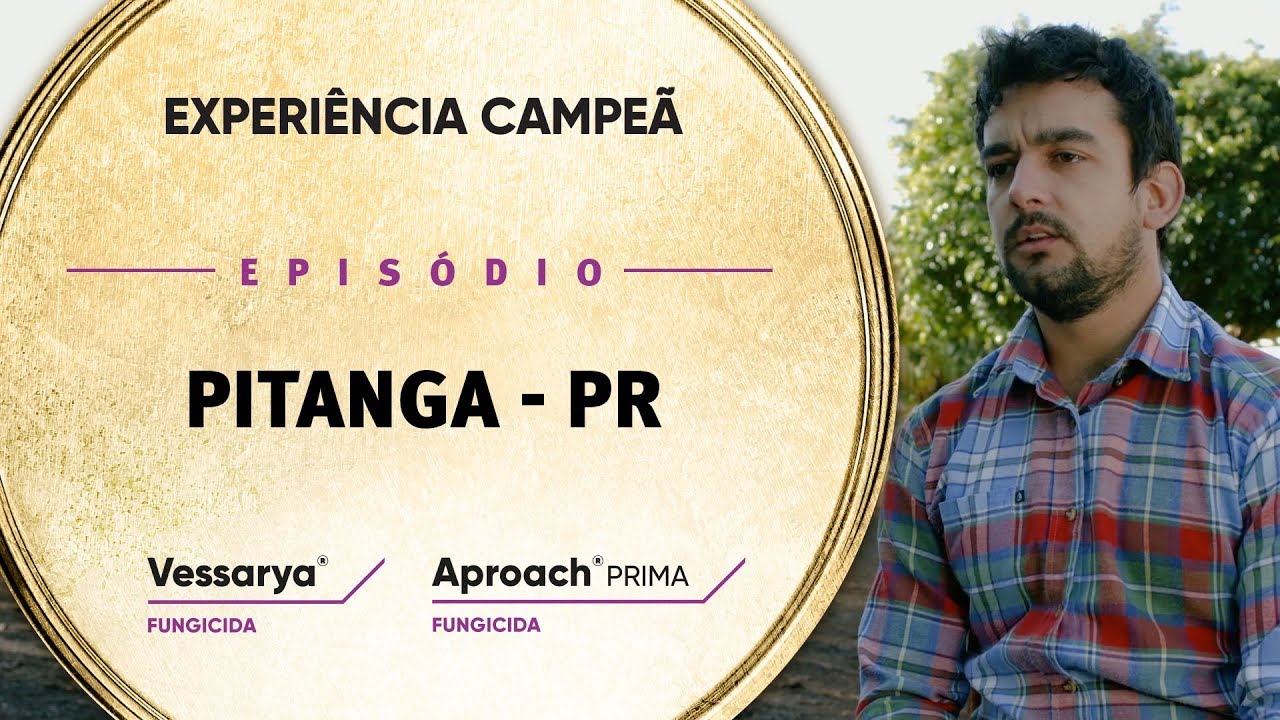 EP 04: Pitanga/PR